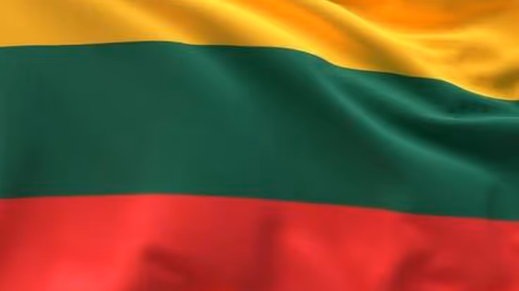 Vlag van Litouwen.